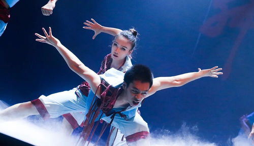 精品紛呈 視覺盛宴 章云燕名家工作室舞蹈作品展演燃情舞動